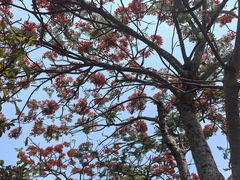 -大清国一号界碑