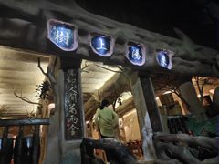 -天门沟九州驿站树上汤泉