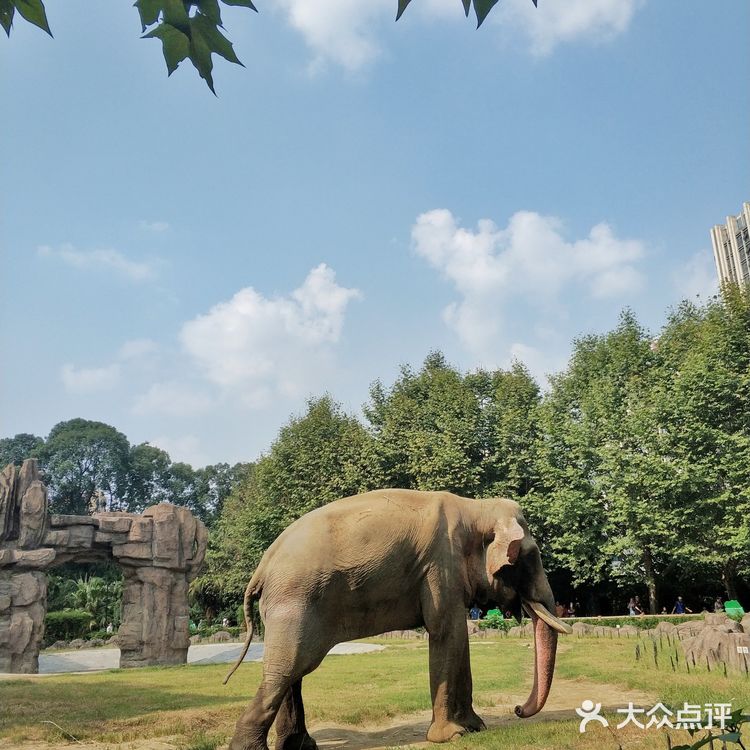 【亲子日游攻略】成都北门看动物又耍水