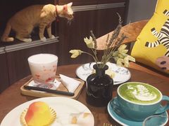 -咖法森林·咖啡  酒吧(天河店)