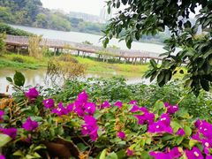 -广东花都湖国家湿地公园
