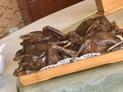 -食家鸽园