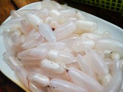 鲮鱼泡-章记正宗南岗鱼蛋火锅