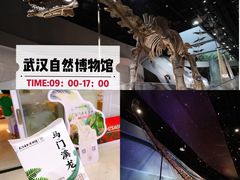 -长江文明馆