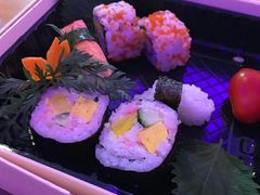寿司-美食小镇·观赏珍稀鸟类·长隆熊猫酒店