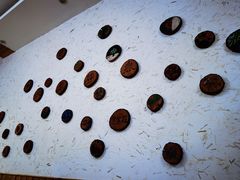 -浔味·山屿湖·正宗淳牌全鱼宴老字号
