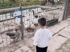 -上海长兴岛郊野公园