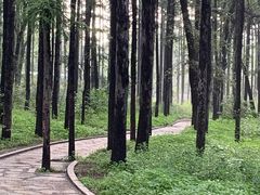 -长春市南湖公园