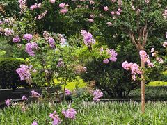 -沙河三洞古桥公园