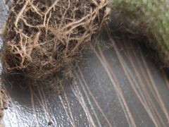 -广州四季酒店·天吧·高空酒吧