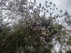 -成都杜甫草堂博物馆