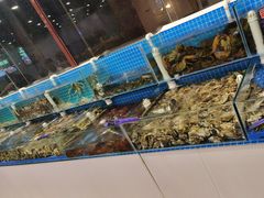 -港畔赶海蒸汽海鲜烧烤自助(仙螺岛店)