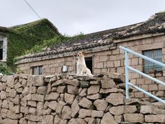 -东极岛景区
