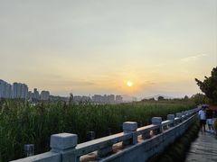 -江心屿景区