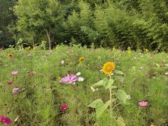 -九如山休闲旅游度假区