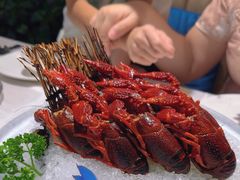 -洪福龙虾
