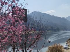 -新安江山水画廊风景区