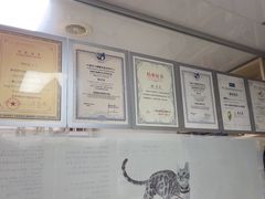 -乐琪宠物医院·犬猫专科·骨外科·急重症