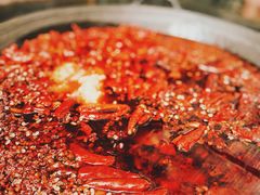 -肥龙火锅(南坪店)