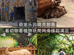 -呀路古热带植物园