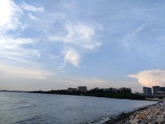 -宝安西湾红树林湿地公园