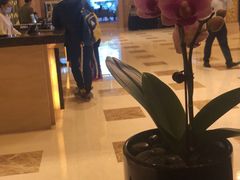 -盛宴自助餐厅(运达喜来登店)