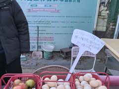 -大自然农场蔬菜草莓采摘园