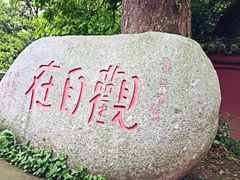 -峨眉山报国寺