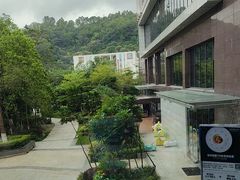 -汇华阁中餐厅·粤菜早茶(汇华希尔顿逸林酒店)