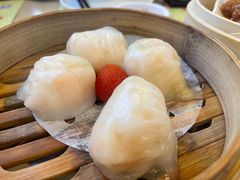 金牌虾饺皇-点都德(千灯湖环宇城店)