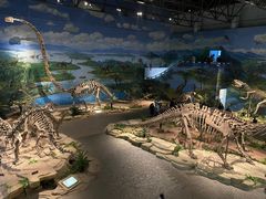 -自贡恐龙博物馆