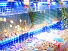 -必点海鲜·鲅鱼水饺(鞍山西道店)