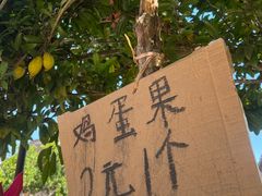-西双版纳傣族园