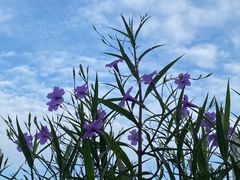 -苏州河梦清园环保主题公园