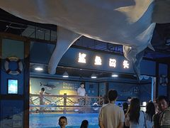 -重庆欢乐海底世界