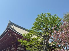 -浅草寺