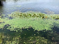 -长春市南湖公园