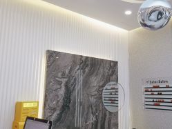 -型色沙龙 Color Salon
