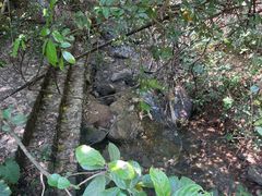 -羚羊峡古栈道森林公园