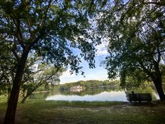 -上海共青森林公园