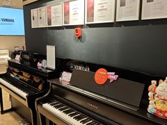 -雅歌音乐培训中心·钢琴培训·乐器培训(交道口店)