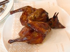 金牌妙龄乳鸽-铭家点心(秦岭路店)