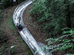-东湖磨山景区