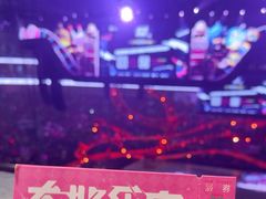 -宝能国际体育演艺中心