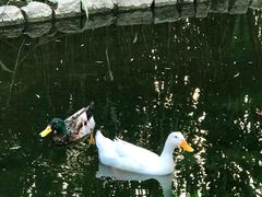 -三里河公园