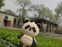 -北京动物园