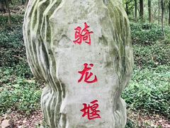 -上海佘山国家森林公园天马山园