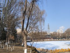 -金城公园