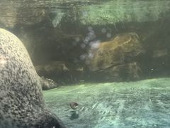 -常州海昌海洋探索馆