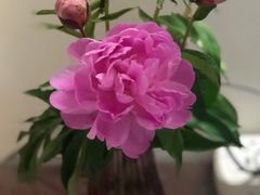 -花邻FloweringLife花艺气球派对(武康大楼店)